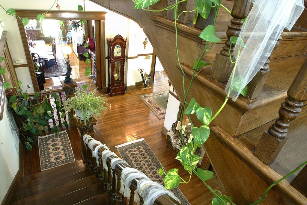 Beall Mansion An Elegant Bed & Breakfast Inn Alton Kültér fotó